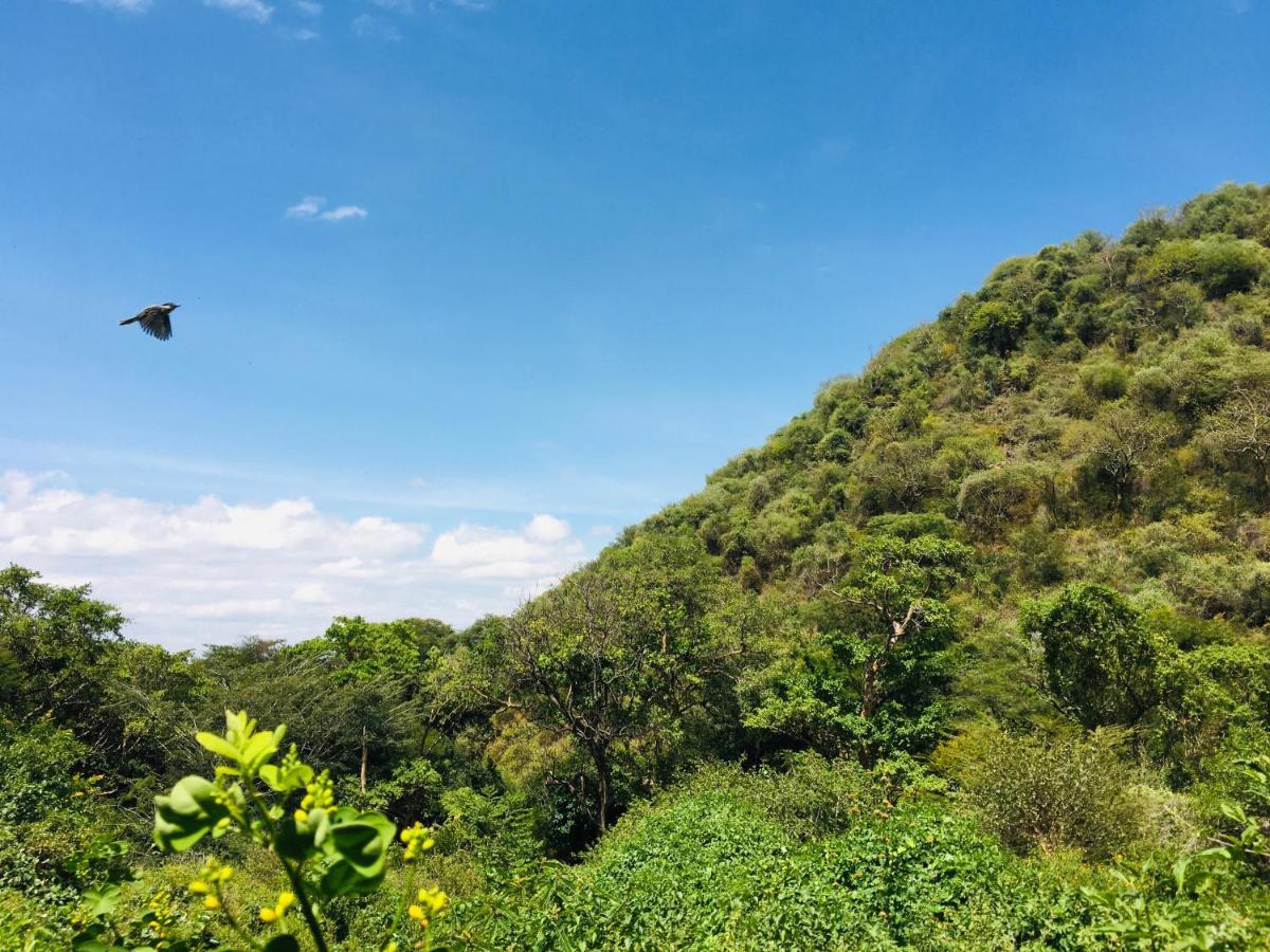 Appartamento Ava Garden Backpackers Mto wa Mbu Esterno foto