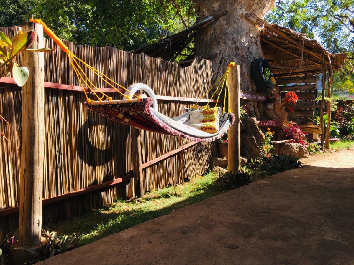 Appartamento Ava Garden Backpackers Mto wa Mbu Esterno foto