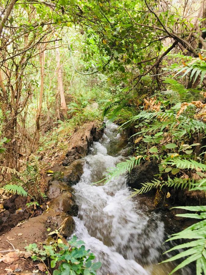 Appartamento Ava Garden Backpackers Mto wa Mbu Esterno foto