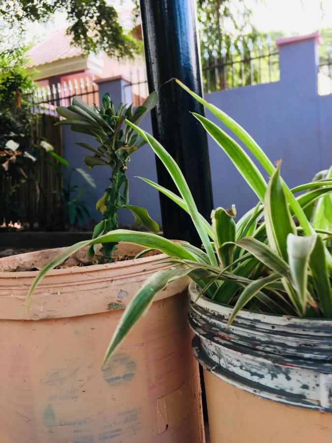 Appartamento Ava Garden Backpackers Mto wa Mbu Esterno foto