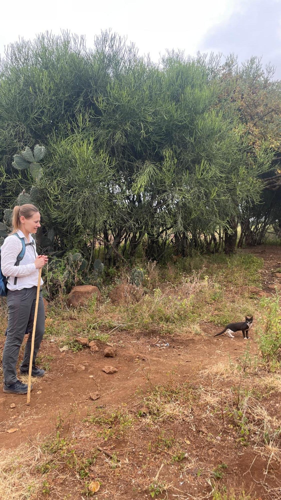 Appartamento Ava Garden Backpackers Mto wa Mbu Esterno foto