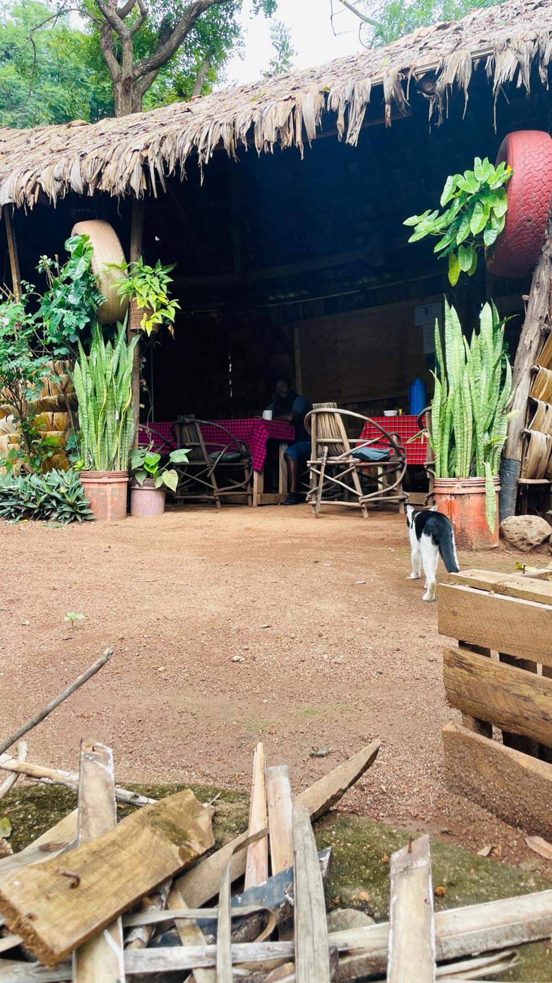 Appartamento Ava Garden Backpackers Mto wa Mbu Esterno foto